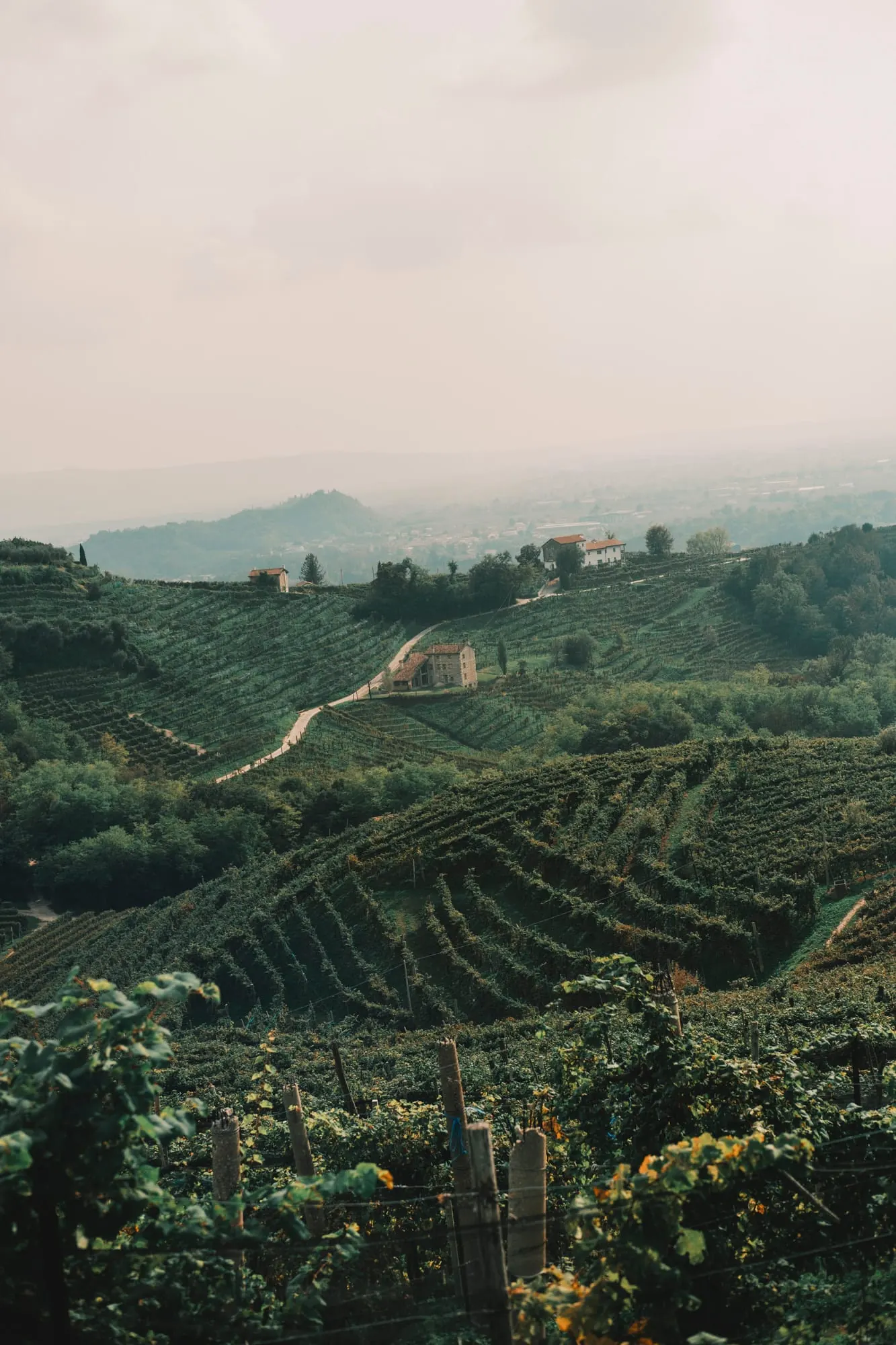 climbing san boldo and riding the prosecco hills